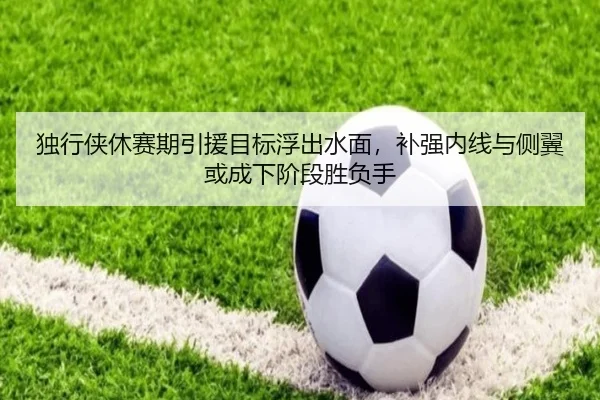 独行侠休赛期引援目标浮出水面，补强内线与侧翼或成下阶段胜负手